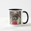 Search for edmonton mugs Full length