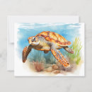 Recherche de tortues cartes postales Maritime