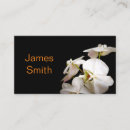 Recherche de orchidées blanches cartes visite Photographie