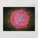 Search for microbiology gifts Cell biology