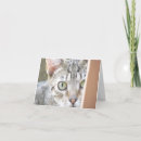 Search for brown eye cards White