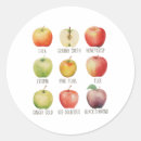Search for orchard stickers Leaves