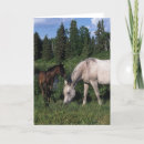 Search for mare cards Equestrian