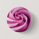 Recherche de macro de fleur badges Rose