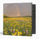 Search for sunrise binders Rainbow