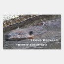 Search for beaver stickers Wildlife