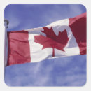 Recherche de symbole canadien autocollants Érable
