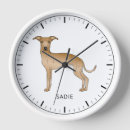 Search for greyhound clocks Illustration