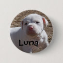 Search for saved buttons Adopt