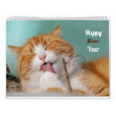 Search for funny cat calendars Kitty