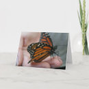 Search for butterfly thank you cards Insects