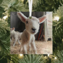 Search for farm animal ornaments Cute