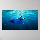 Recherche de manta ray posters Océan