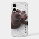 Search for sweet iphone 16 cases Dog
