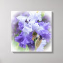 Search for bearded iris canvas prints Purple