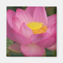 Recherche de puits magnets Fleurs