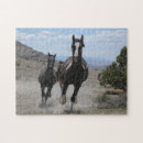 Search for wild horse puzzles Animal