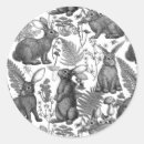 Search for two rabbits stickers Bunny