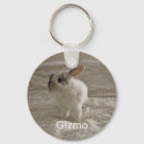 Search for bunny keychains Pet