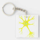 Search for biologic accessories Cell