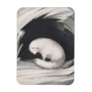 Recherche de renard arctique magnets Sauvage