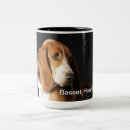 Recherche de bassets tasses Pour tous