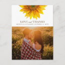 Search for rustic wedding postcards Sunflower