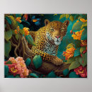 Search for rain forests Animal