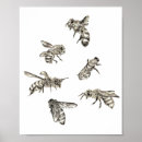 Search for flying insect posters Bee
