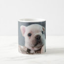 Search for cutest mugs Canine