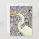Search for shells vertical postcards Sea