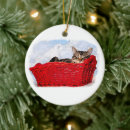 Search for kitten ornaments Animal lover