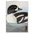 Search for barrows Barrows goldeneye