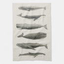 Recherche de baleine cuisine linges Mer