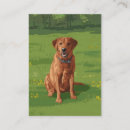 Search for fox business cards Pets