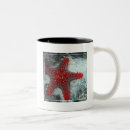 Recherche de étoile mer tasses Océan