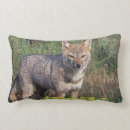 Search for wolf pillows National park