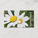 Recherche de marguerite jaune cartes visite Blanc