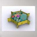 Recherche de mitochondrie posters Illustration