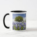 Search for rf mugs Scenic