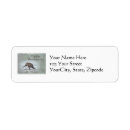 Search for wild turkeys return address labels Animal