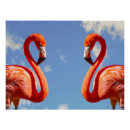 Recherche de flamants posters Pour enfants