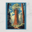 Recherche de séquoia Parc national de sequoia