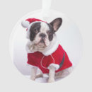 Search for dog costume ornaments Black