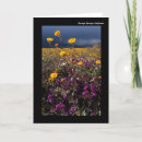 Search for desert flora cards Plants
