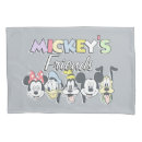 Search for friend pillowcases Vintage