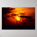 Search for safari sunset posters Landscape