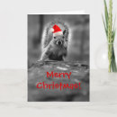 Search for santa squirrel cards Animal
