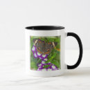 Search for swallowtail mugs Pink