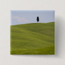 Search for lone buttons Landscape